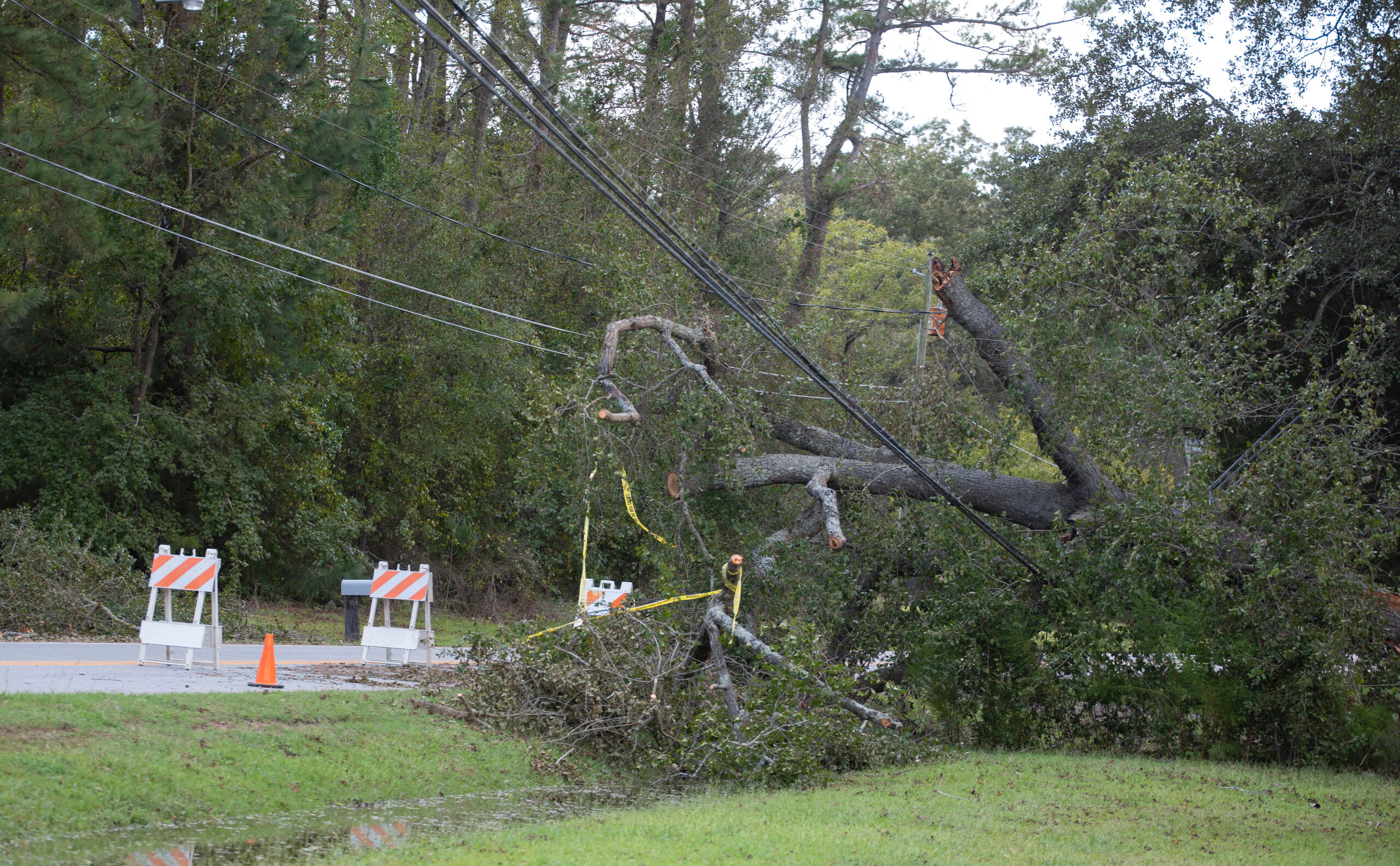 Downed power lines, caused by a falling tree during a storm.